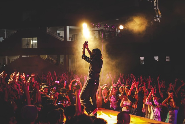 Ron Piercey at a live concert